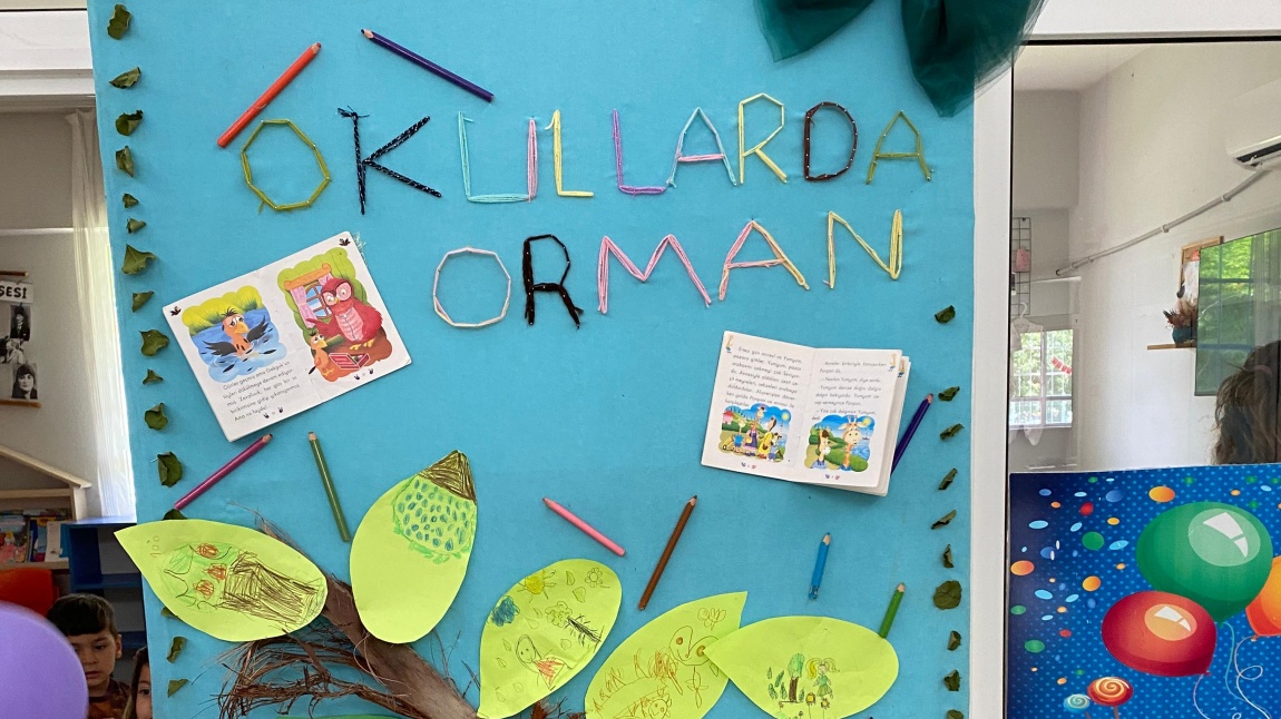 OULLARDA ORMAN PROJESİ